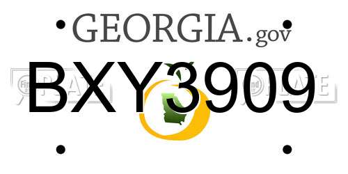 BXY3909 Georgia License Plate