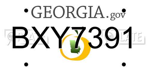 BXY7391 Georgia License Plate