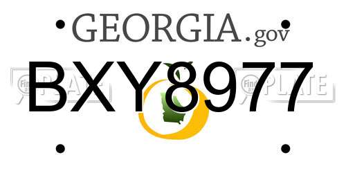 BXY8977 Georgia License Plate