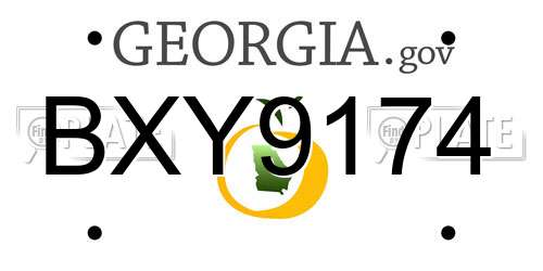 BXY9174 Georgia License Plate