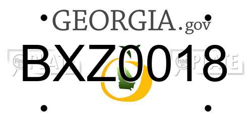 BXZ0018 Georgia License Plate