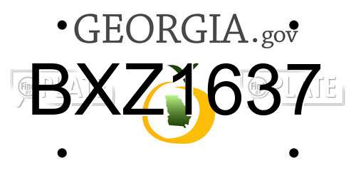 BXZ1637 Georgia License Plate