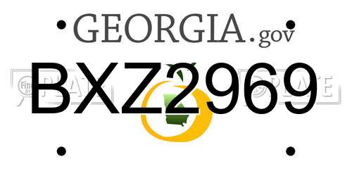 BXZ2969 Georgia License Plate