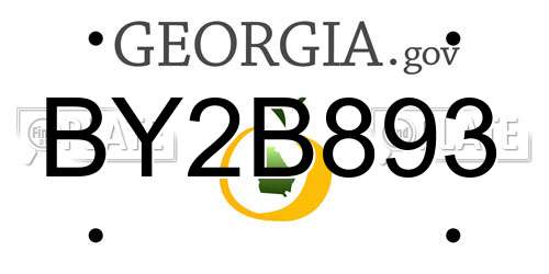 BY2B893 Georgia License Plate