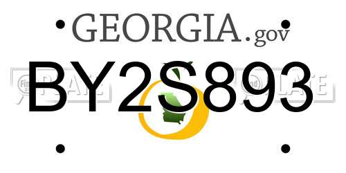 BY2S893 Georgia License Plate
