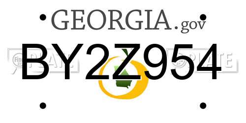 BY2Z954 Georgia License Plate