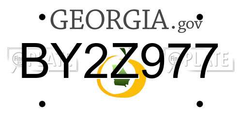 BY2Z977 Georgia License Plate