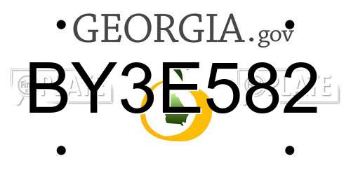 BY3E582 Georgia License Plate
