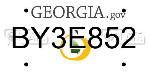 BY3E852 Georgia License Plate