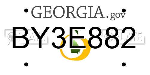 BY3E882 Georgia License Plate