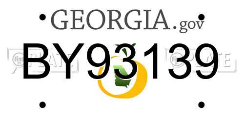 BY93139 Georgia License Plate