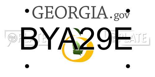 BYA29E Georgia License Plate