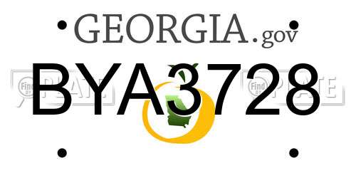 BYA3728 Georgia License Plate