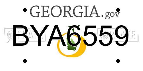 BYA6559 Georgia License Plate