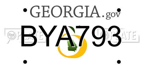 BYA793 Georgia License Plate