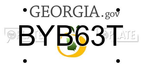 BYB63T Georgia License Plate