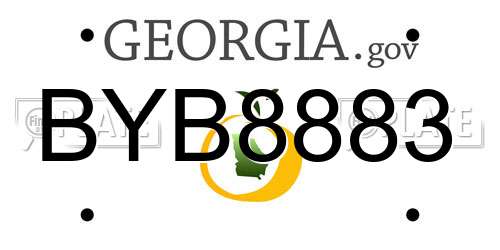 BYB8883 Georgia License Plate