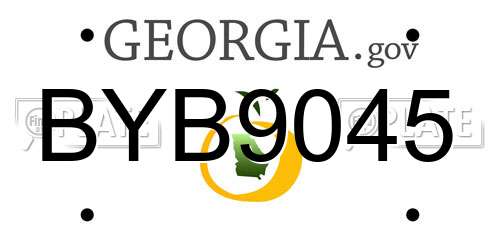 BYB9045 Georgia License Plate