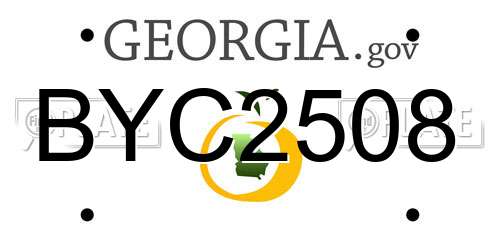BYC2508 Georgia License Plate