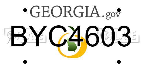 BYC4603 Georgia License Plate
