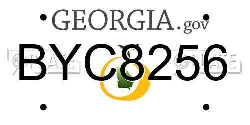 BYC8256 Georgia License Plate
