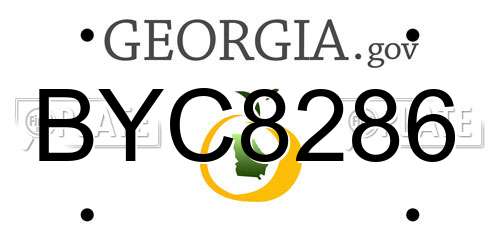 BYC8286 Georgia License Plate