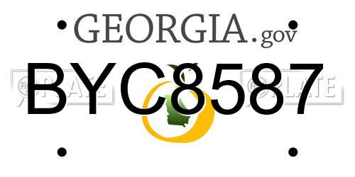 BYC8587 Georgia License Plate