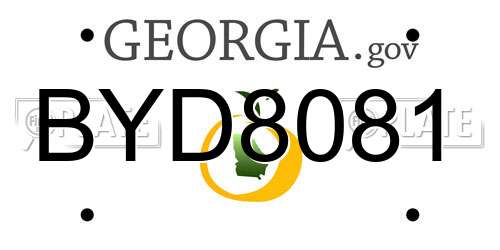 BYD8081 Georgia License Plate