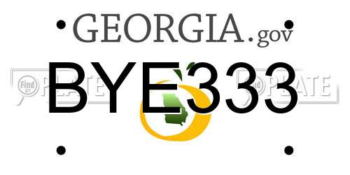 BYE333 Georgia License Plate