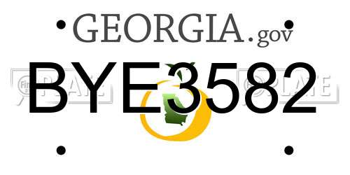 BYE3582 Georgia License Plate