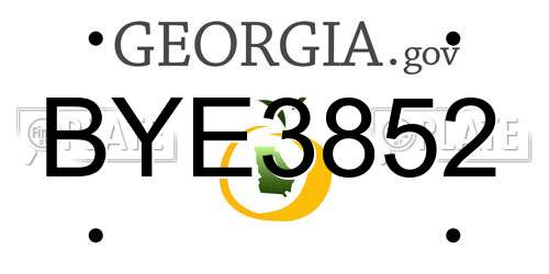 BYE3852 Georgia License Plate