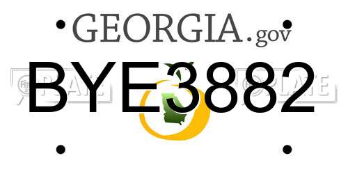 BYE3882 Georgia License Plate