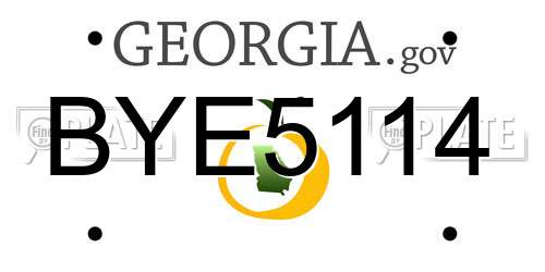 BYE5114 Georgia License Plate