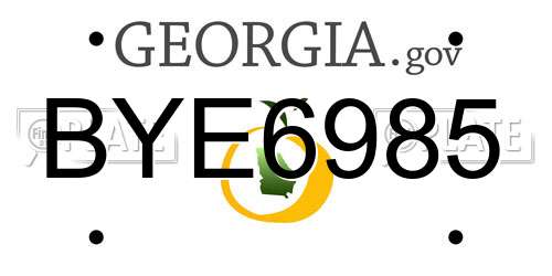 BYE6985 Georgia License Plate