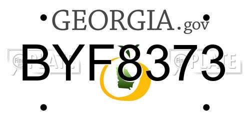 BYF8373 Georgia License Plate