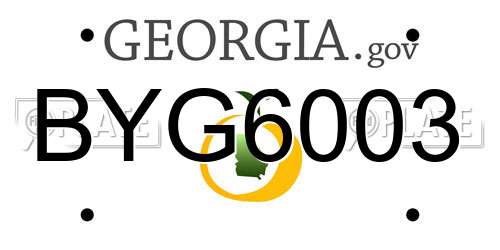 BYG6003 Georgia License Plate
