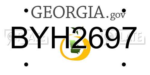 BYH2697 Georgia License Plate