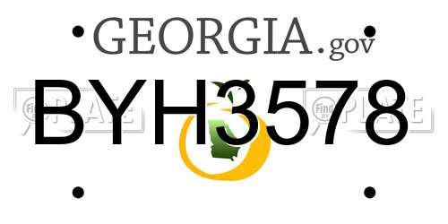 BYH3578 Georgia License Plate