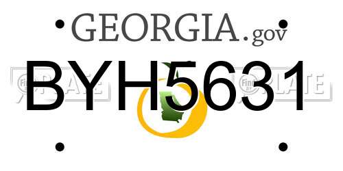 BYH5631 Georgia License Plate