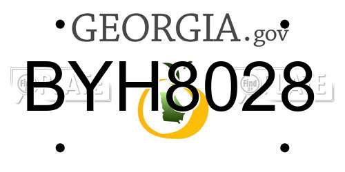 BYH8028 Georgia License Plate