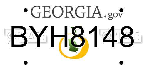 BYH8148 Georgia License Plate