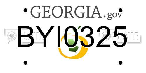 BYI0325 Georgia License Plate