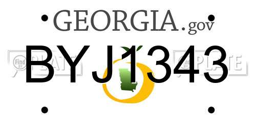 BYJ1343 Georgia License Plate