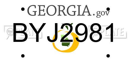 BYJ2981 Georgia License Plate