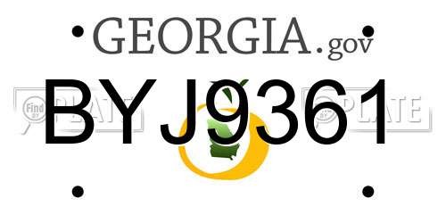 BYJ9361 Georgia License Plate
