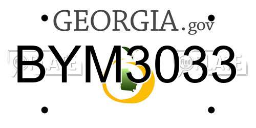BYM3033 Georgia License Plate