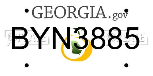 BYN3885 Georgia License Plate