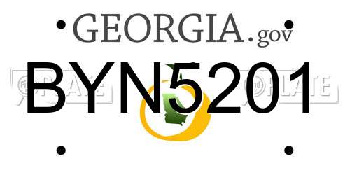 BYN5201 Georgia License Plate