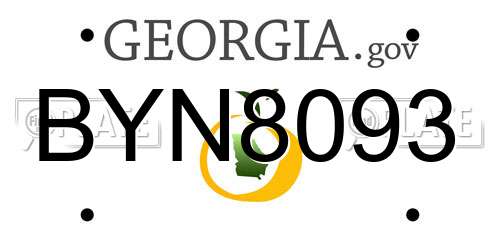 BYN8093 Georgia License Plate