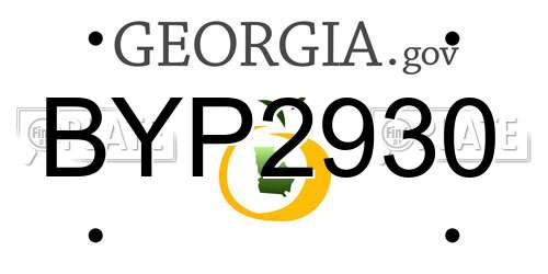 BYP2930 Georgia License Plate